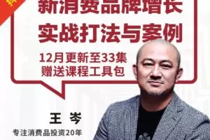 王岑讲新消费品牌增长实战打法与案例【完结】