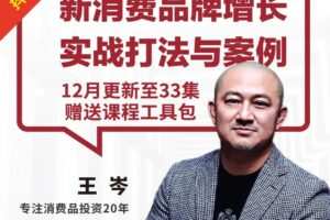 王岑讲新消费品牌增长实战打法与案例【完结】