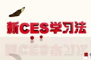 北大精锐学习法新CES学习法语文数学英语全套课程视频