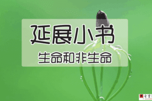 i陪娃科学合集（完结）
