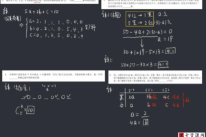 优才数学2021四年级创新大师A+寒假班（完结）