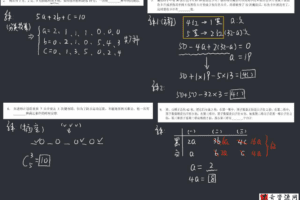 优才数学2021四年级创新大师A+寒假班（完结）
