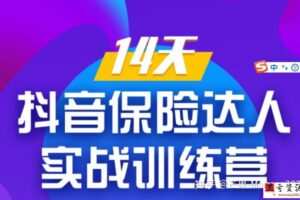 保险达人 14天抖音保险达人实战训练营
