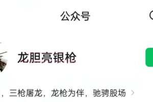 枪哥 龙胆亮银枪 如何发现机会∶四维复盘法 复盘心法视频26集