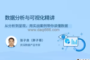 数据分析与可视化精讲，从分析到呈现，用实战案例带你读懂数据