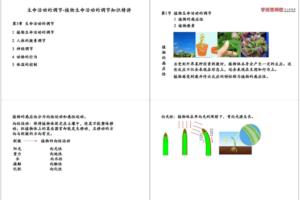 学而思初二科学生物篇年卡尖子班浙教版