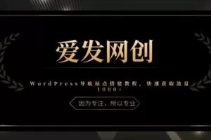 《爱发必学第14课》WordPress导航站点搭建教程，快速获取流量1000+【视频课程】