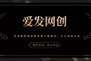 《爱发必学第18课》零基础搭建虚拟资源下载网站，全自动成交站【视频课程】