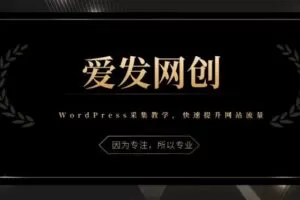 《爱发必学第3课》WordPress采集教学，带你快速提升网站流量