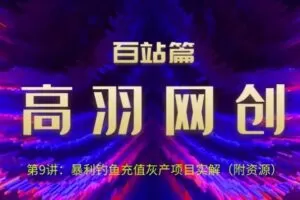 高羽网创百站篇第9讲：钓鱼充值挥产项目实解（附资源）【视频课程】