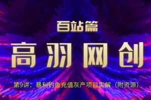 高羽网创百站篇第9讲：钓鱼充值挥产项目实解（附资源）【视频课程】