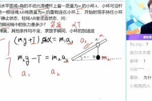 何连伟 2020年高考物理一轮目标985暑假班