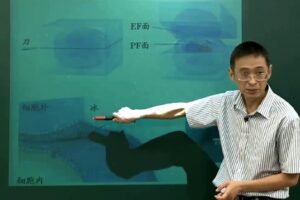 高一生物必修1必修2同步基础课