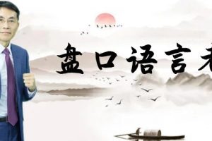 老姜《盘口战法》系列 从主力吃货到出货一深度解密—大机构操盘奥秘