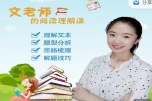文老师《抖音文老师的阅读理解课》