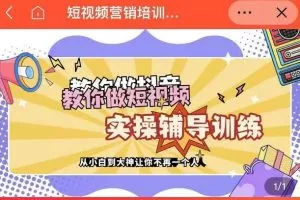 蕊总很忙·短视频营销培训实操课教你做抖音，教你做短视频