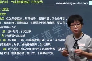 医承有道学堂 中医内科学精讲视频课