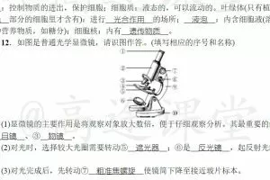 初中生物状元笔记等电子文档