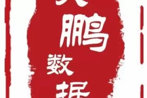 大鹏大数据分析