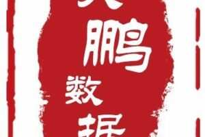 大鹏大数据分析