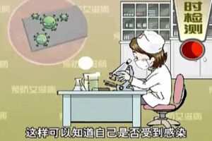 人教版初中生物实验视频
