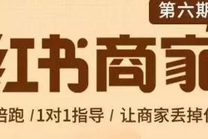 贾真-小红书商家营第6期商家版，21天带货陪跑课，让商家丢掉付流量