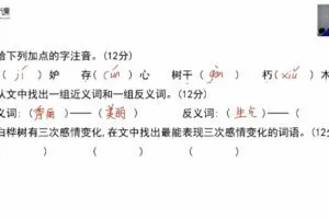麻静 小学三四年级语文阅读理解提升课