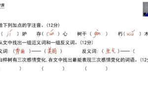 麻静 小学三四年级语文阅读理解提升课