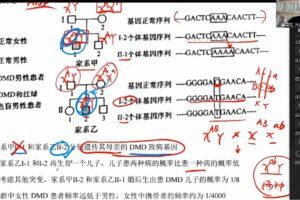 万猛 2022年高考生物二轮真题班 