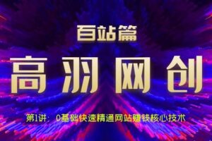 高羽网创百站篇第1讲：0基础快速精通网站赚钱核心技术【视频课程】