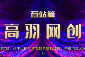 高羽网创百站篇第7讲：永不过时的宝宝起名红利项目，捞偏门年入30万【视频课程】