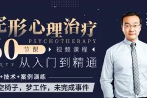 王铮-完形心理治疗从入门到精通【60节课】