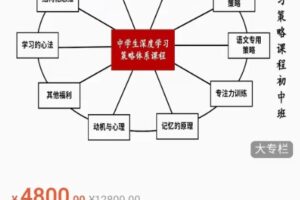 深度学习策略课程（初中班）,价值4800元