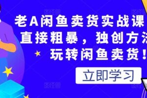 老A闲鱼卖货实战课，简单直接粗暴，独创方法带你玩转闲鱼卖货！