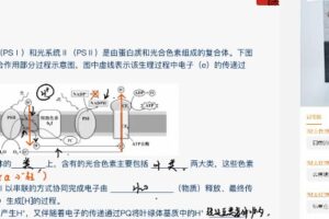 张鹏 2022年高考生物押题课