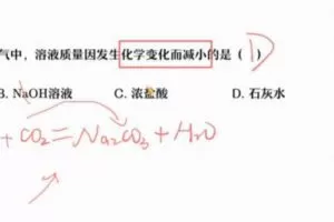 赵萧飞 初三化学2022年尖端班