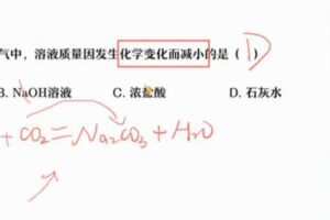 赵萧飞 初三化学2022年尖端班