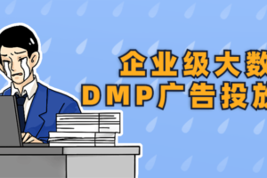 企业级大数据DMP广告投放实战