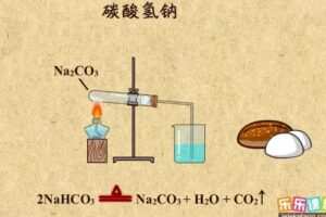 乐乐课堂 初中化学全套课程