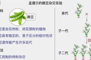 乐乐课堂 初中生物全套课程