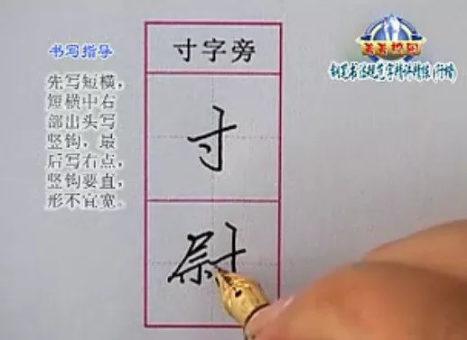 1655145015 李放鸣 钢笔书法行楷规范字
