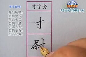 李放鸣 钢笔书法行楷规范字