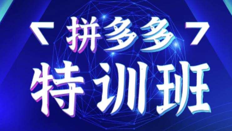 星雪教育·拼多多基础班+进阶班+突破班,用系统的学习模式快速改变现状价值3580元 1 1655350259 星雪教育·拼多多基础班进阶班突破班,用系统的学习模式快速改变现状价值3580元