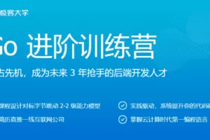 极客时间Go进阶训练营3期