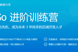 极客时间Go进阶训练营3期