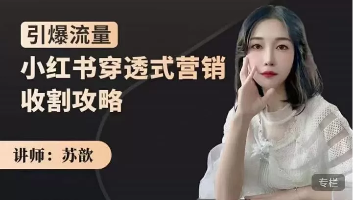 1655559182 苏歆：小红书穿透式营销收割攻略，引爆流量，助你玩转小红书