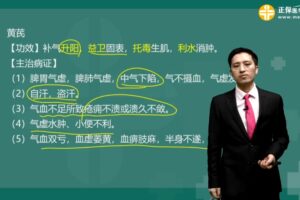 执业药师中药学专业知识二 2019罗子名基础学习班常用单味中药（完结）