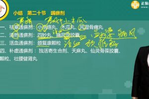 执业药师中药学专业知识二 2019罗子名基础学习班常用中成药（完结）