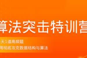 拉勾算法突击特训营3期