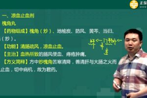 执业药师中药学专业知识二 2019闫敬之基础学习班（完结）